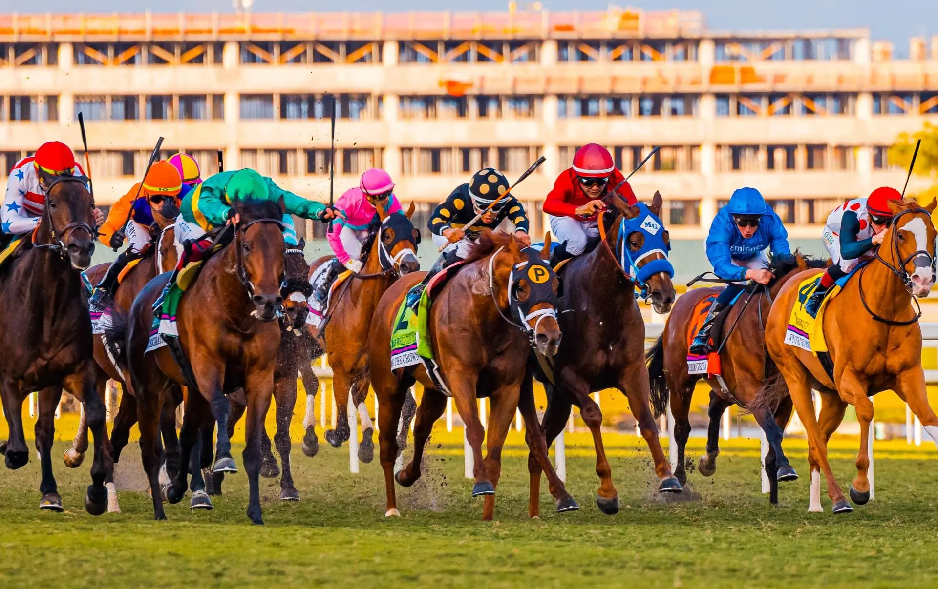 Horse racing - Carousel Club Gulfstream Park Horse racing