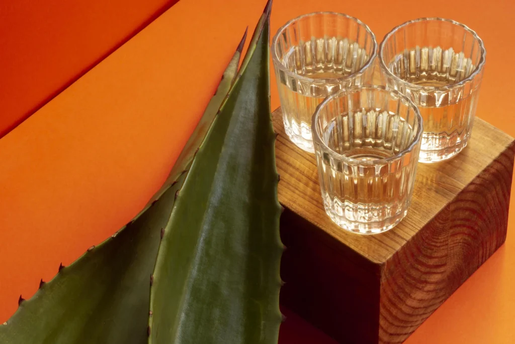 Delicious mezcal alcoholic beverage assortment